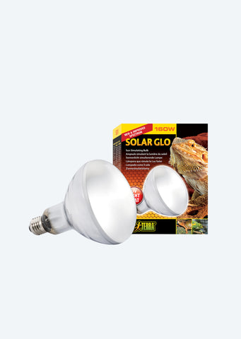 Exo Terra Solar Glo Wide Beam