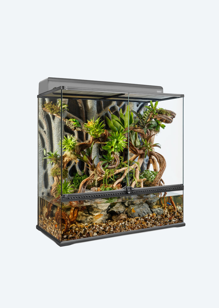 Natural Terrarium Large X-Tall