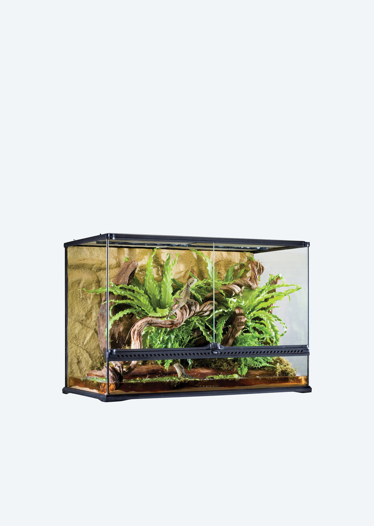 Natural Terrarium Large Tall