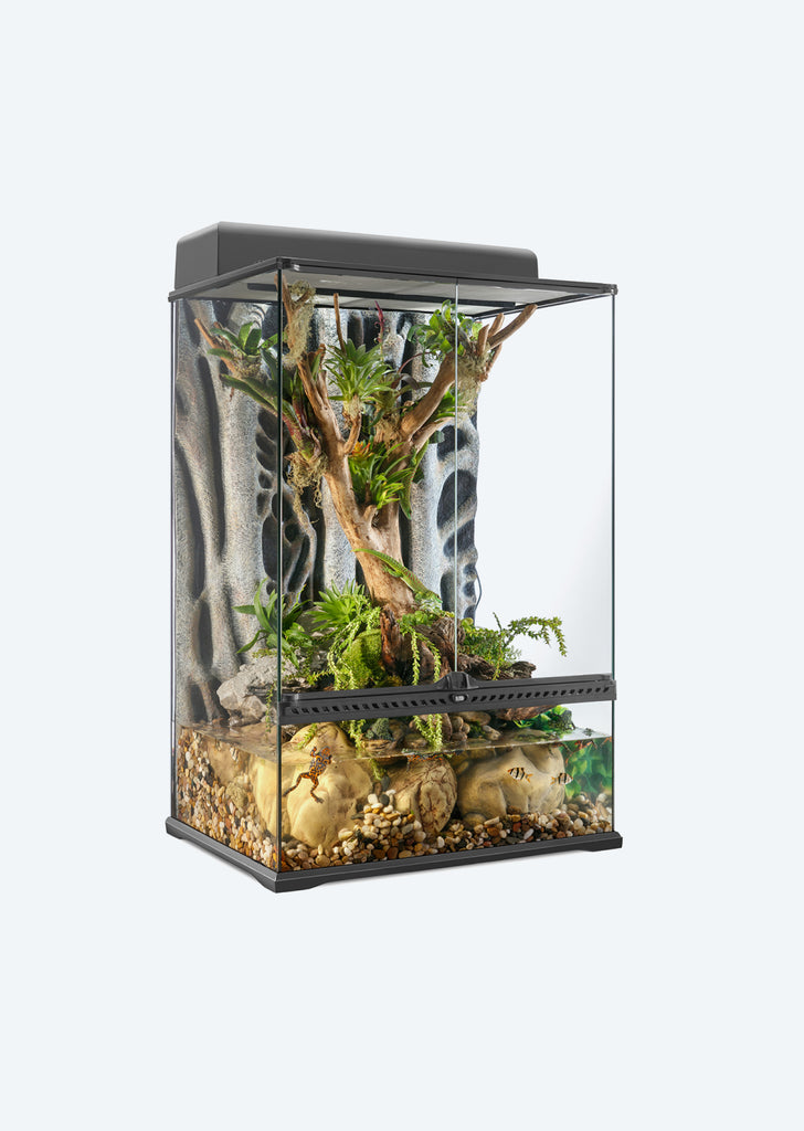 Natural Terrarium Medium X-Tall