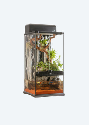 Natural Terrarium Mini X-Tall