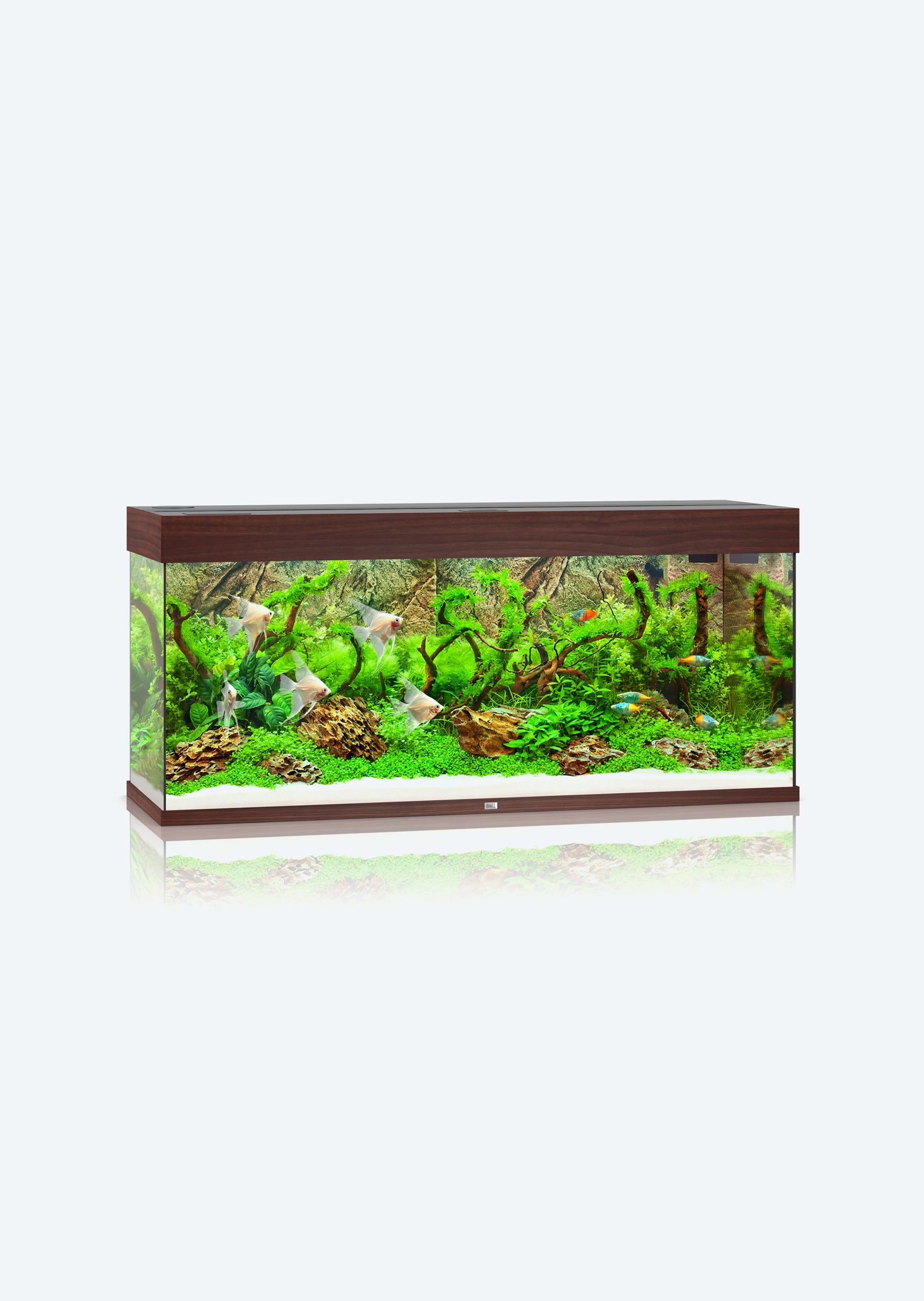 Juwel Aquarium - Aquarium Rio 240 led bois foncé - Gamm vert